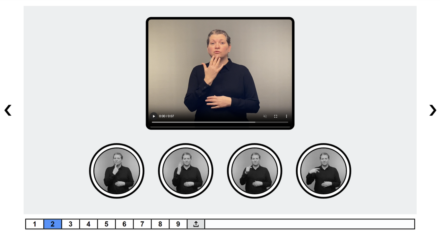 ASL Survey Tool